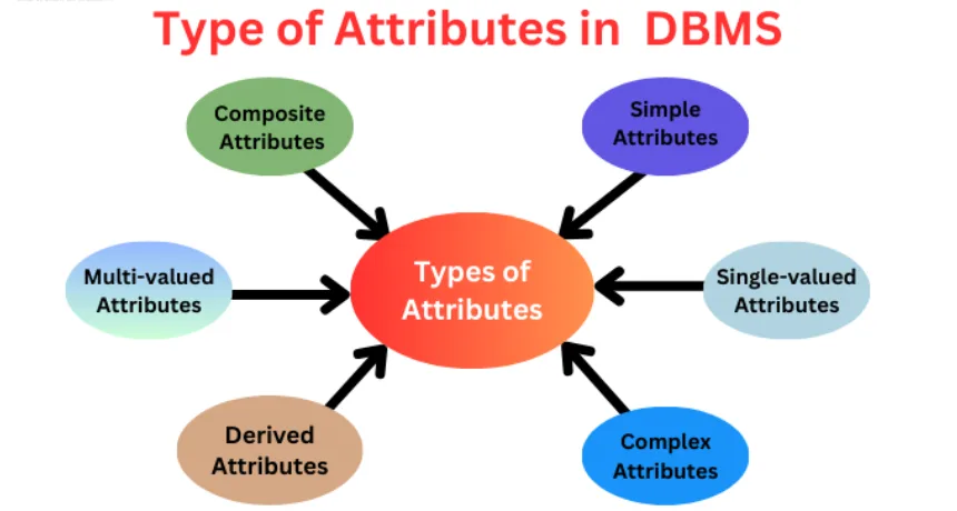 Types-of-attributes-in-DBMS